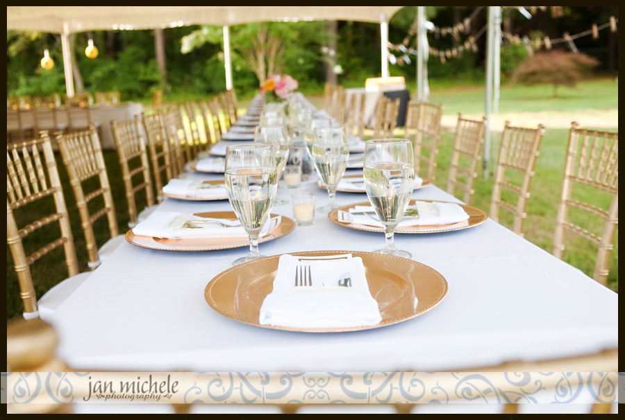 Backyard Maryland Wedding Pictures4026