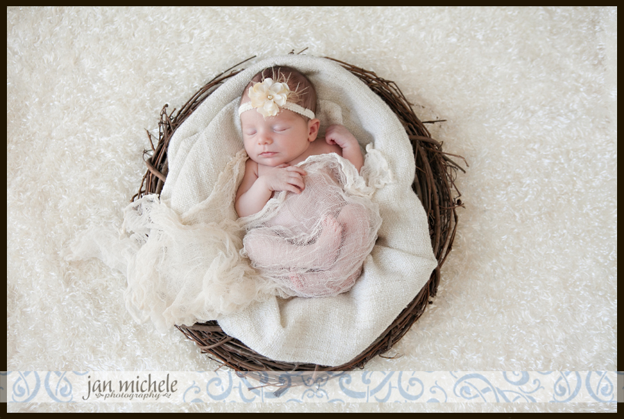 21 McLean Virginia Baby Photo