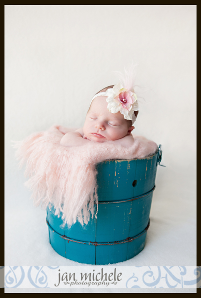 24 McLean Virginia Baby Photo
