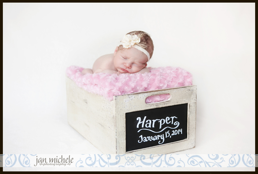 72 McLean Virginia Baby Photo