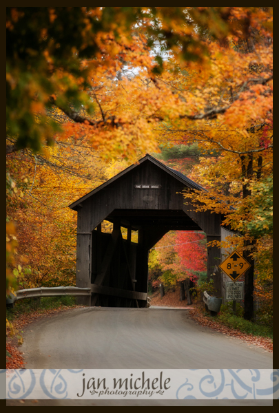 IMG_1188Vermont autumn leaves