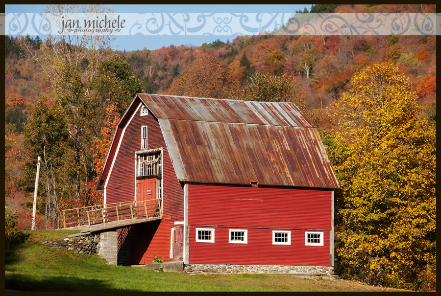 IMG_1283Vermont autumn leaves
