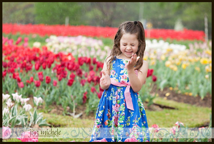 23 Tulip pictures in the rain