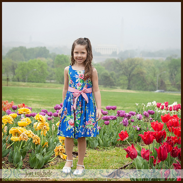 30 Tulip pictures in the rain