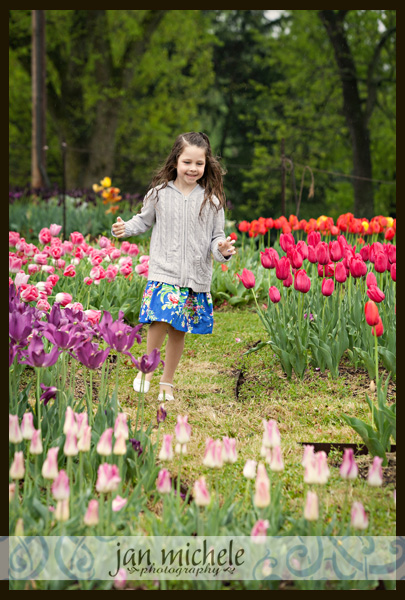 45 Tulip pictures in the rain