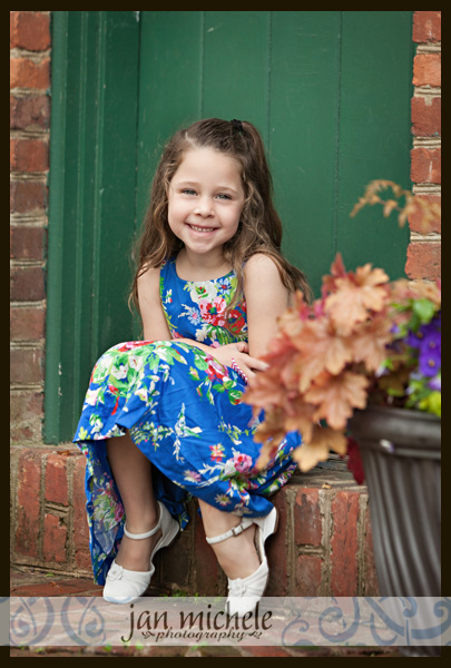 52 Tulip pictures in the rain