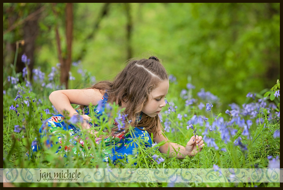 62 Tulip pictures in the rain