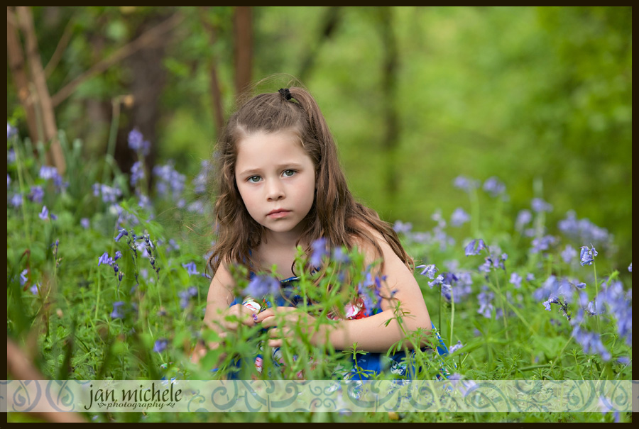 66 Tulip pictures in the rain
