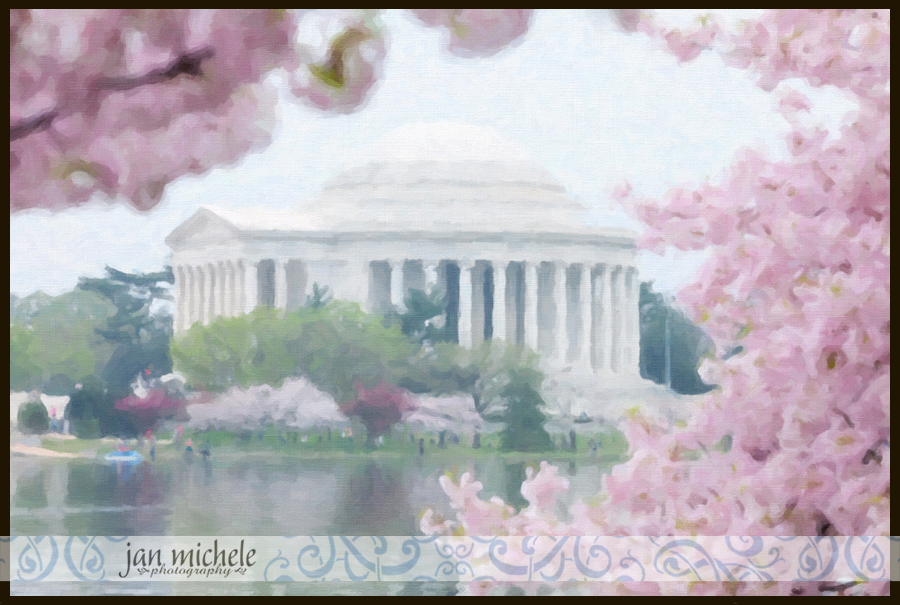 Cherry Blossoms Paint 05