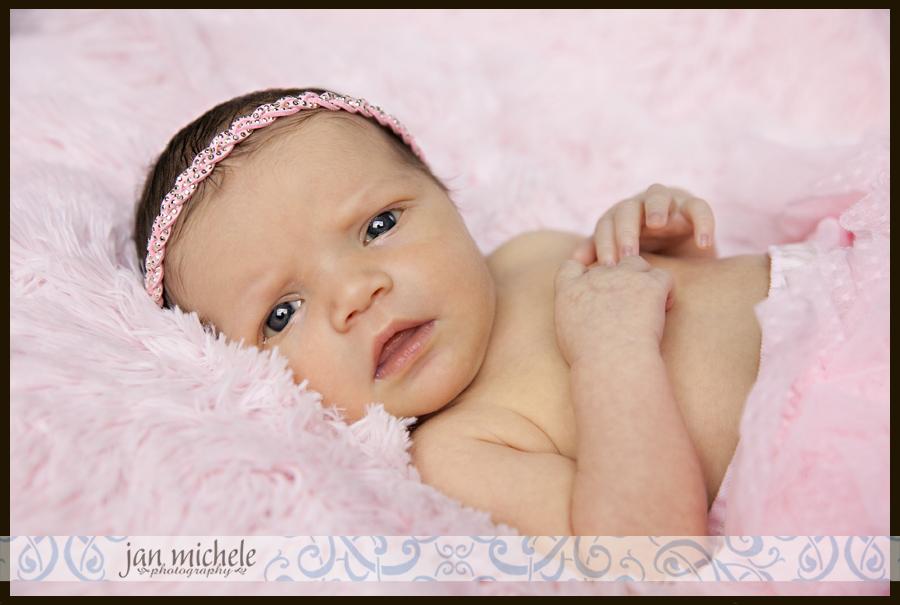 008 Newborn Baby Photograph Arlington VA