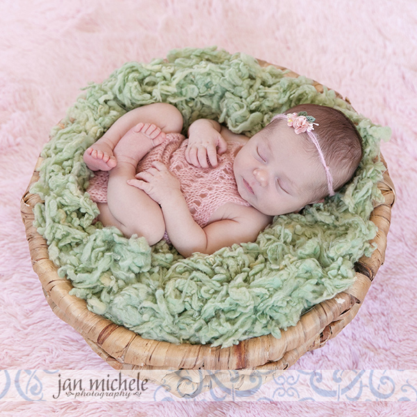 15N best newborn photographer Arlington VA