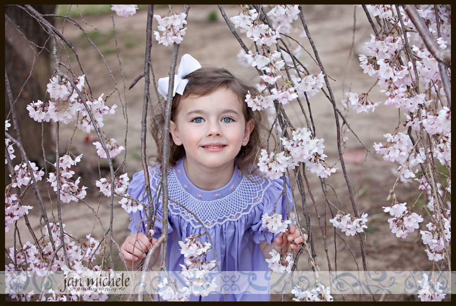 30 cherry blossom pictures with little girls