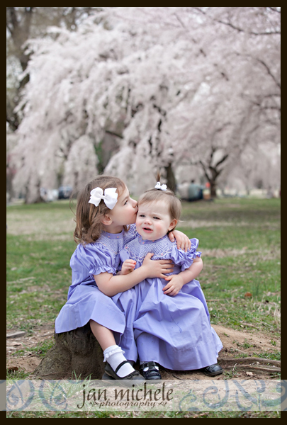 52 cherry blossom pictures with little girls