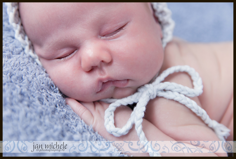 22 best newborn photo washington dc