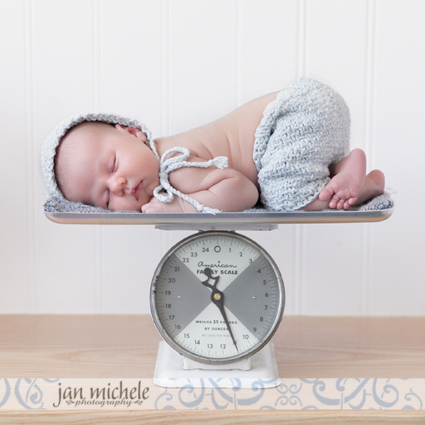 25 best newborn photo washington dc