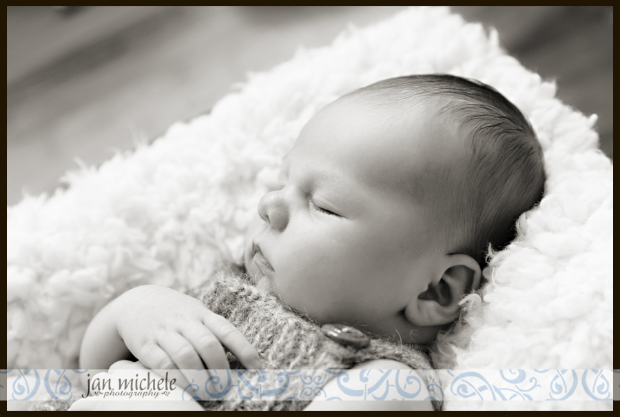 34 best newborn photo washington dc