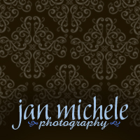 jan michele photography logo
